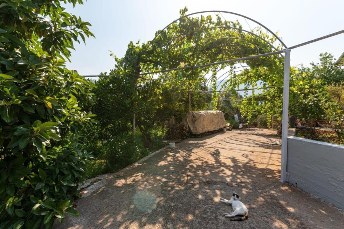 Serene Seaside Bliss - Lush & Secluded Garden Oasis Kalamáta Kültér fotó
